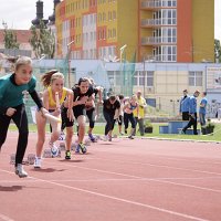 IMG 4742